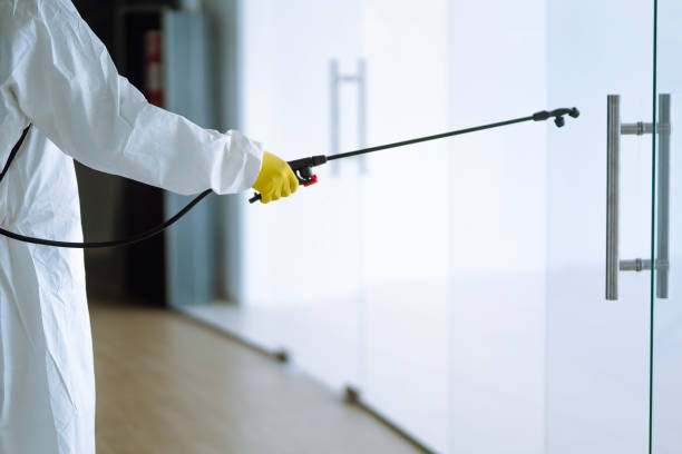 Best Mold Remediation for Healthcare Facilities  in Georgetown, CT